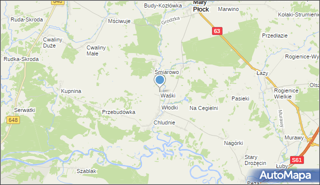 mapa Waśki, Waśki gmina Mały Płock na mapie Targeo